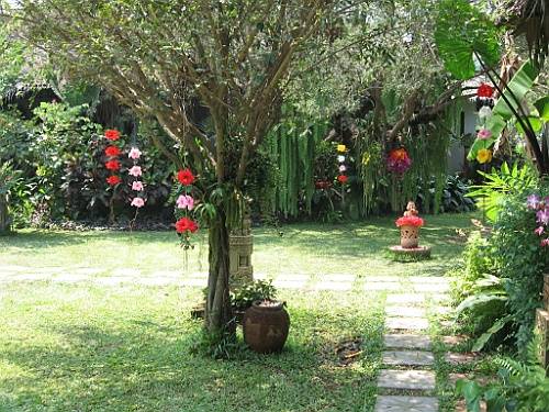 Thai461