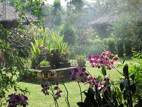 Thai463