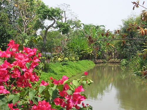 Thai465