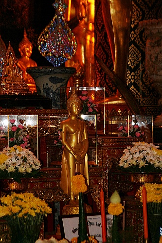 Thai492