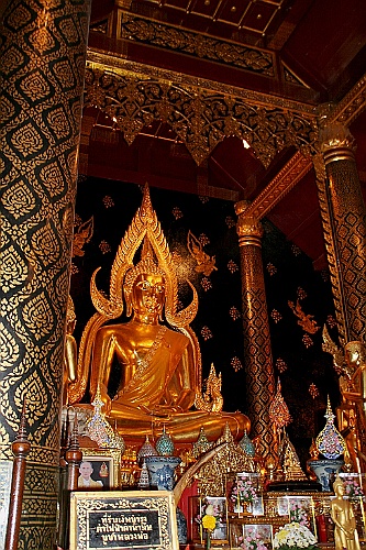 Thai494