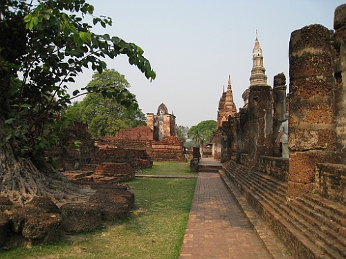 Thai505
