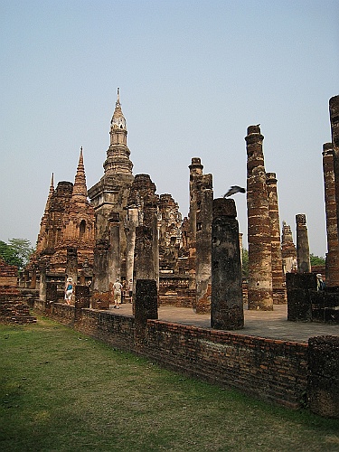 Thai506