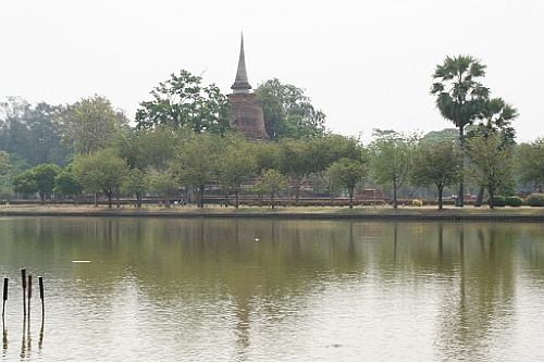 Thai523