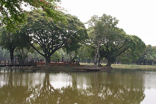 Thai525