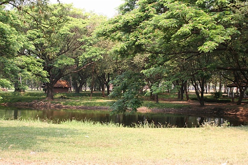 Thai526