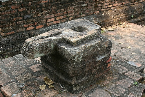 Thai530