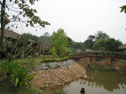 Thai586