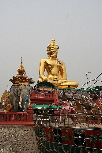 Thai596
