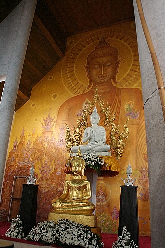 Thai642