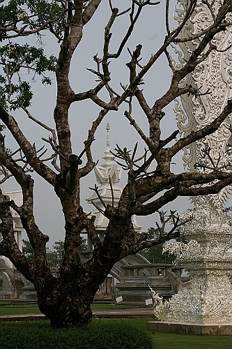 Thai644