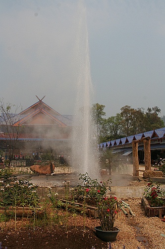 Thai648