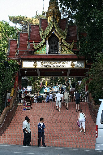 Thai683