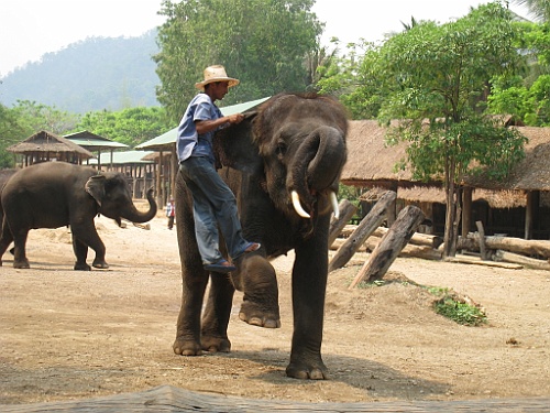 Thai751
