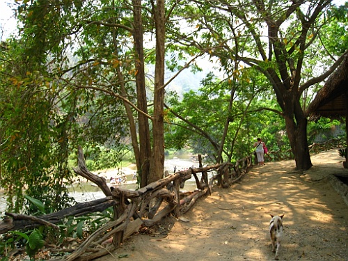 Thai764