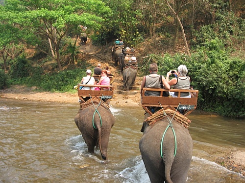 Thai765