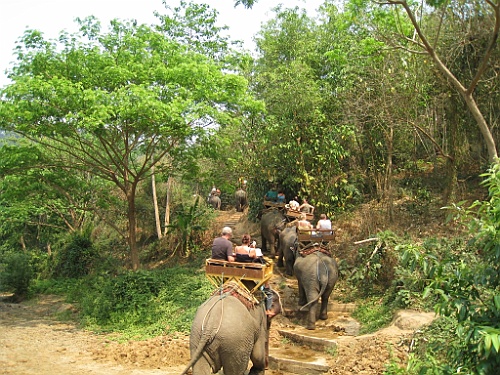 Thai769