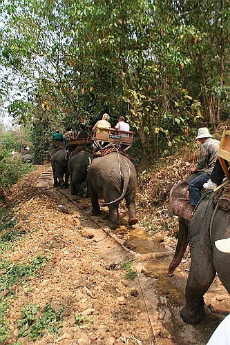 Thai770