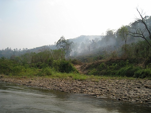 Thai791