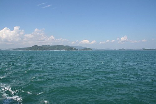 Thai821