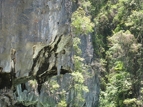 Thai875