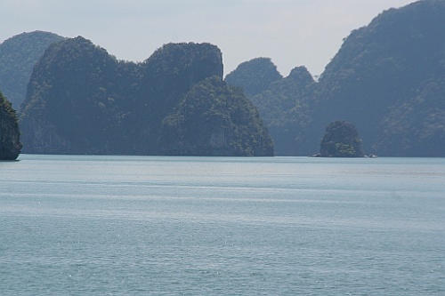 Thai902
