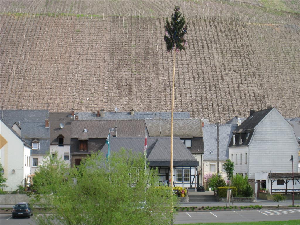 TrTr0031.JPG