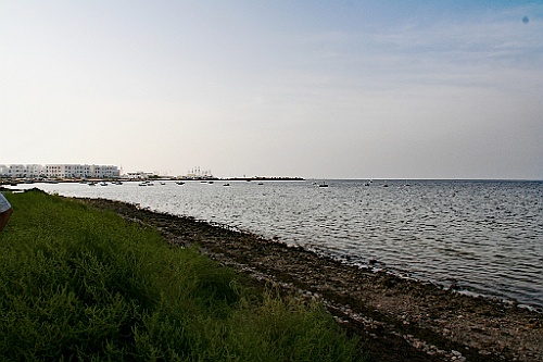tunesie169