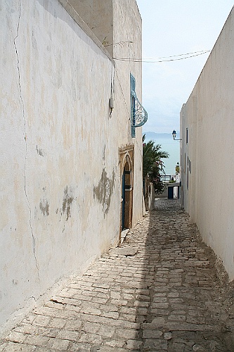 tunesie237