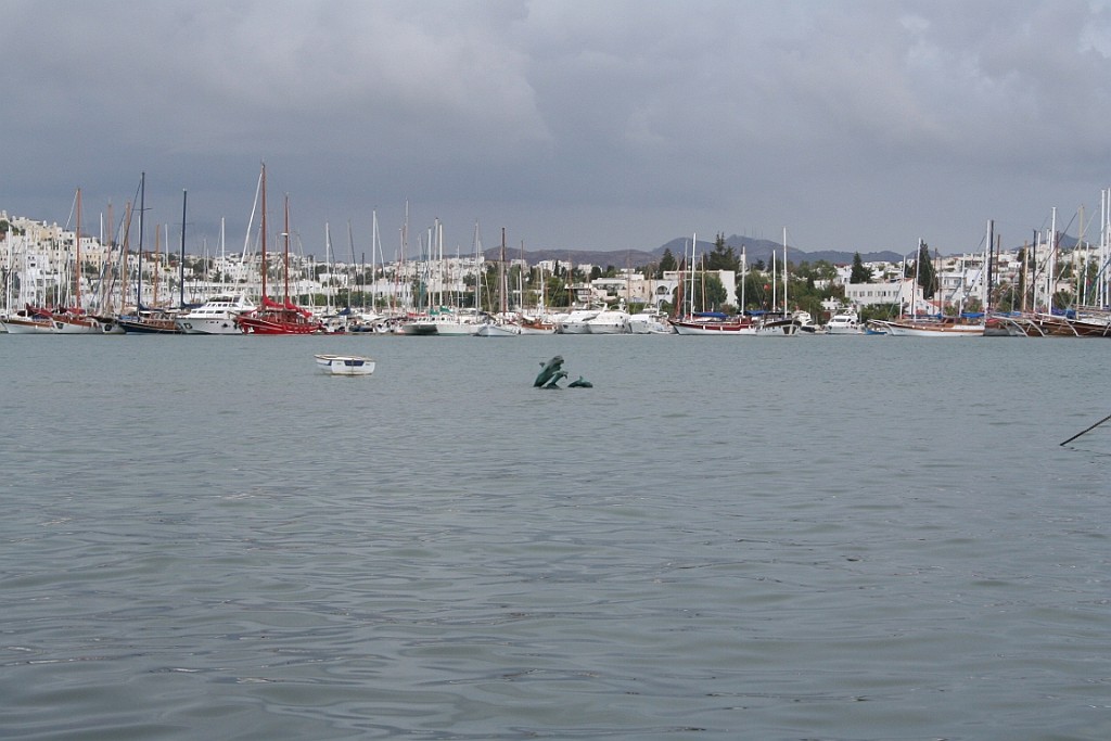 turkije304.JPG - De dolfijnen in de haven van Bodrum