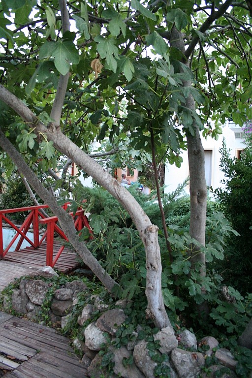 turkije309.JPG - Leuk hoekje in de tuin van ons hotel