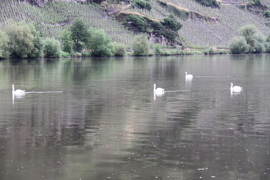 Veldenz044.JPG