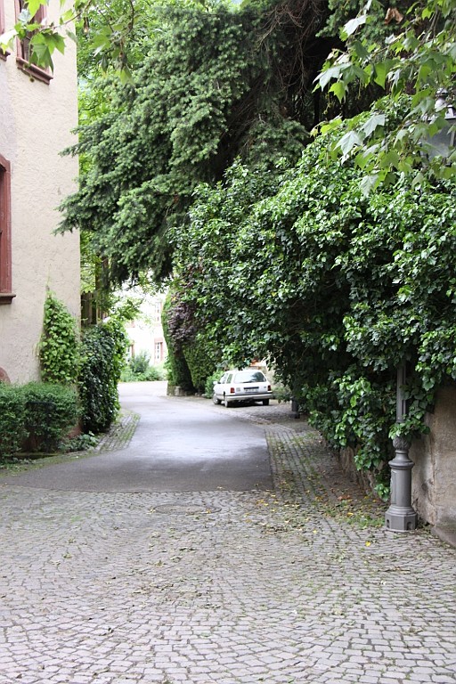 Veldenz071.JPG