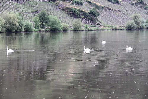 Veldenz044