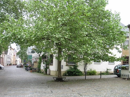 Veldenz062