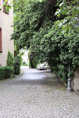 Veldenz071