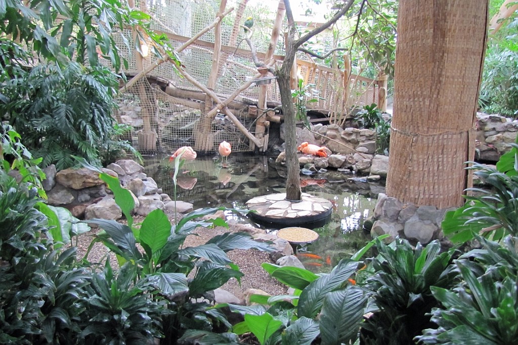 CPVM0322 (10).JPG