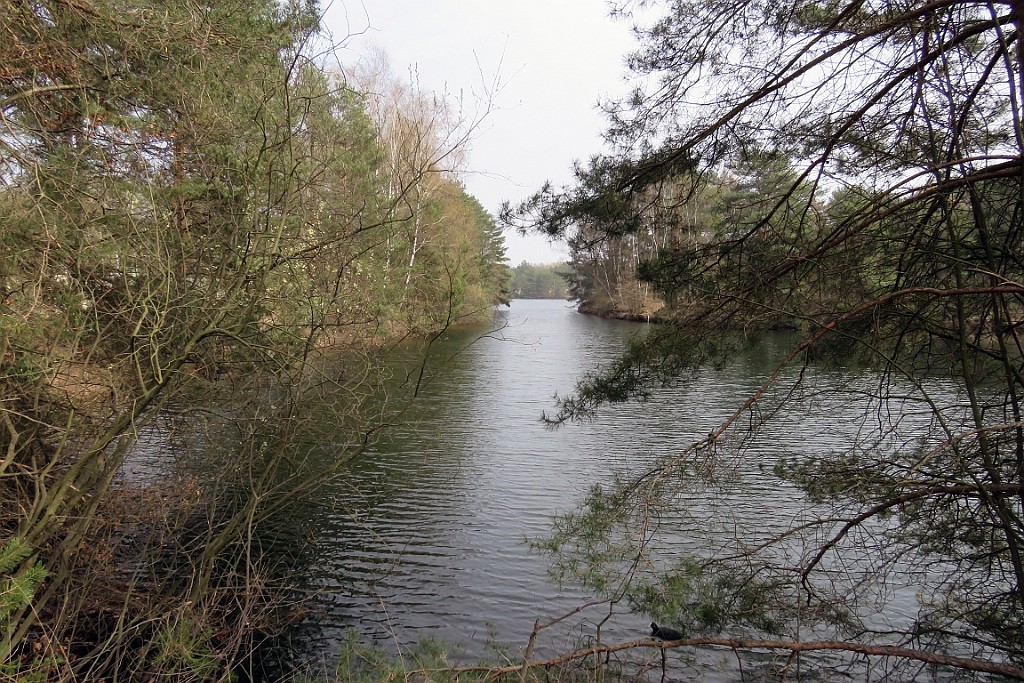 CPVM0322 (12).JPG