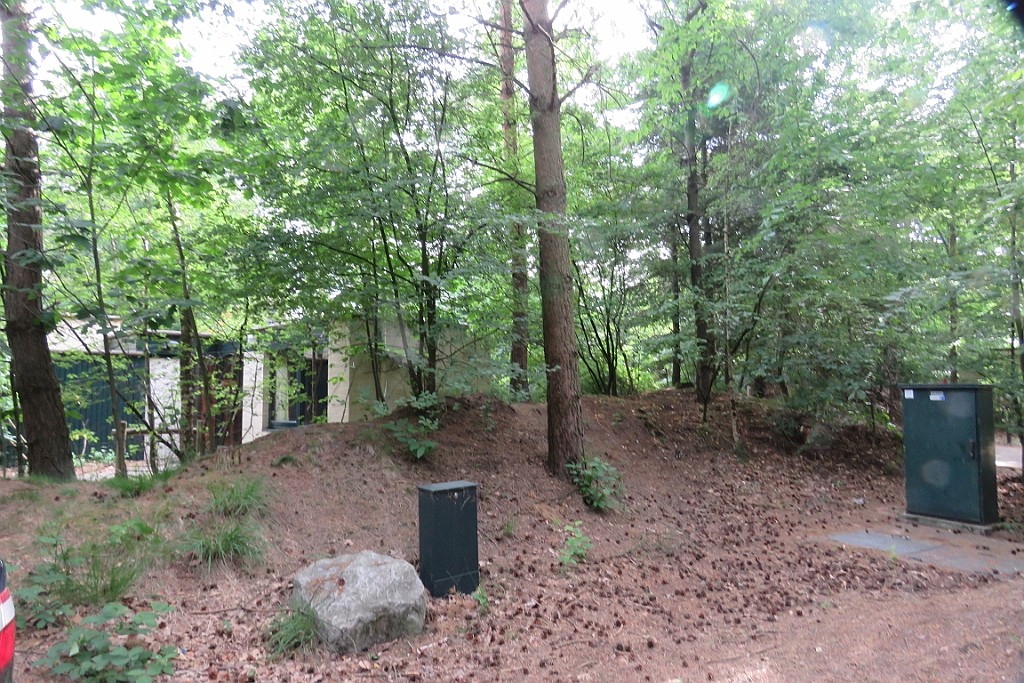 VM0615_003.JPG