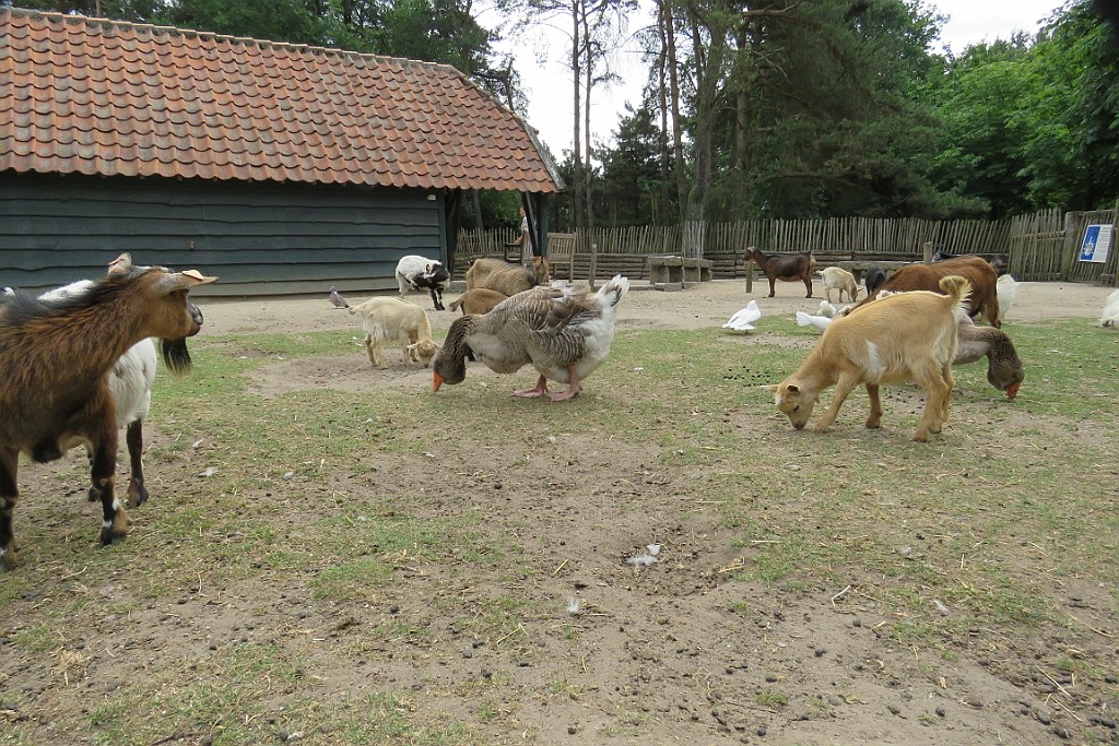 VM0615_036.JPG