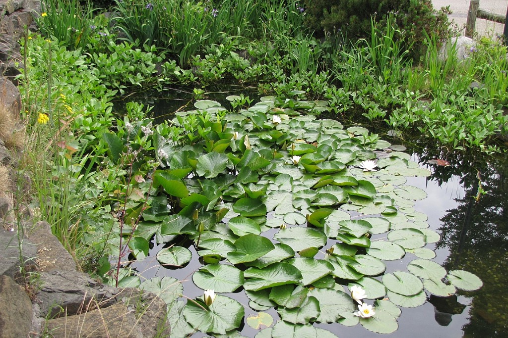 VM0615_045.JPG
