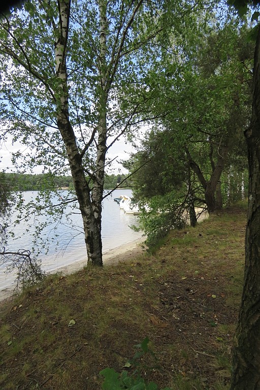 VM0615_076.JPG