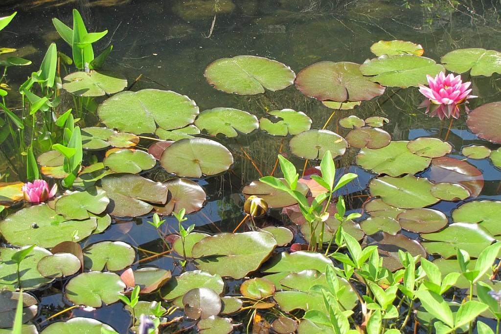 VM0615_079.JPG