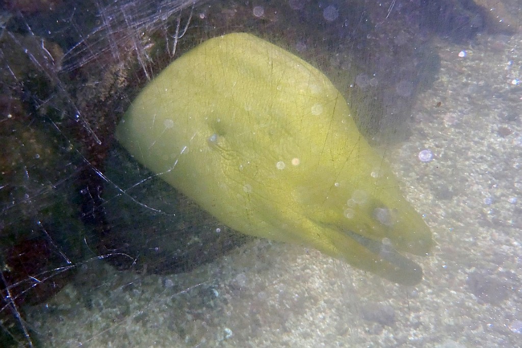 VM0615_107.JPG