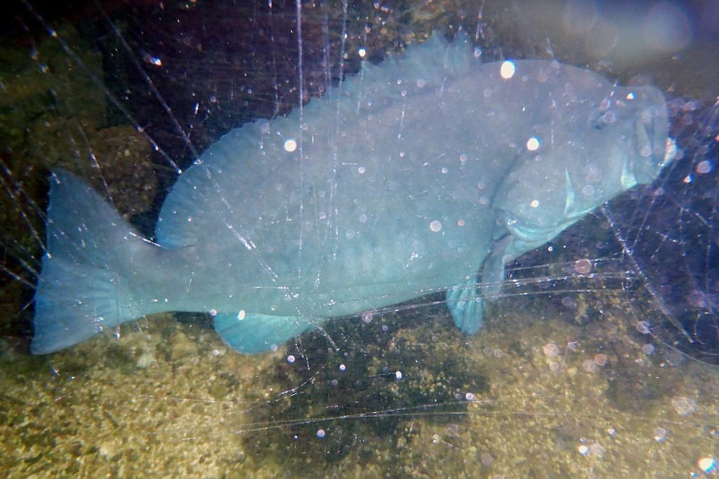 VM0615_108.JPG