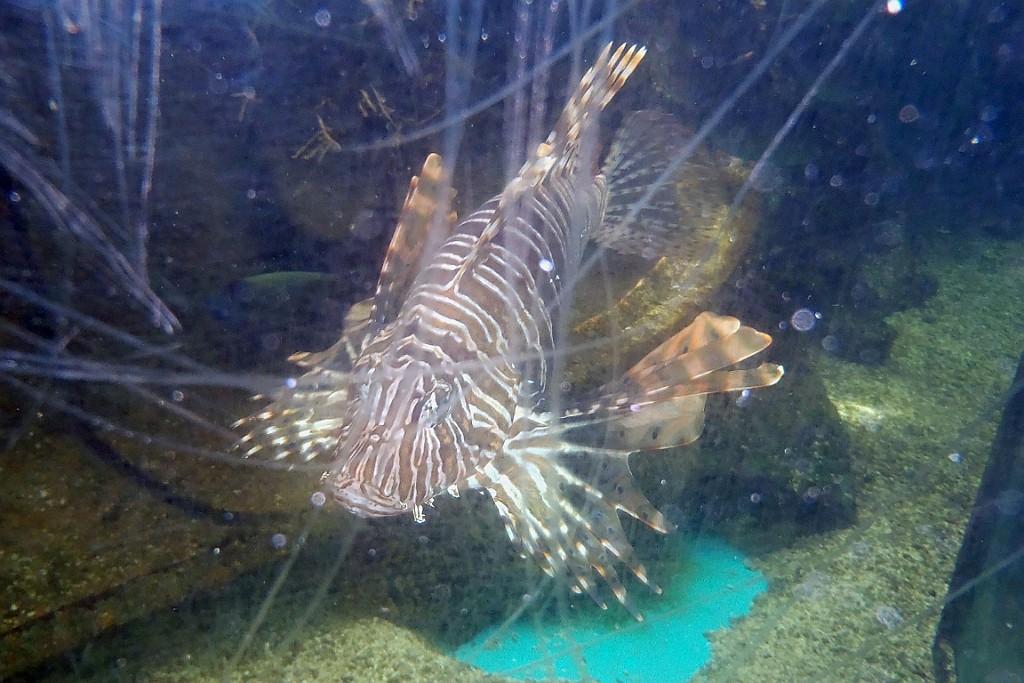 VM0615_109.JPG