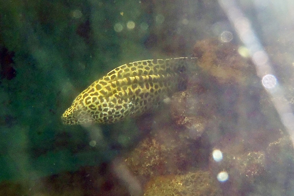 VM0615_110.JPG