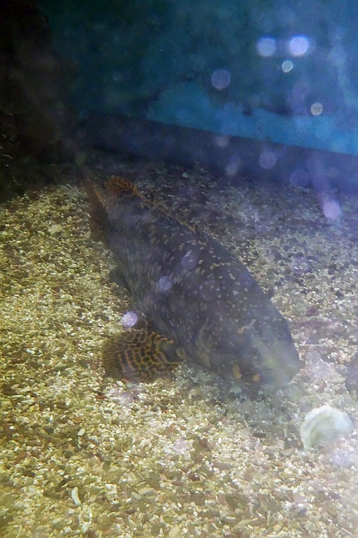 VM0615_111.JPG