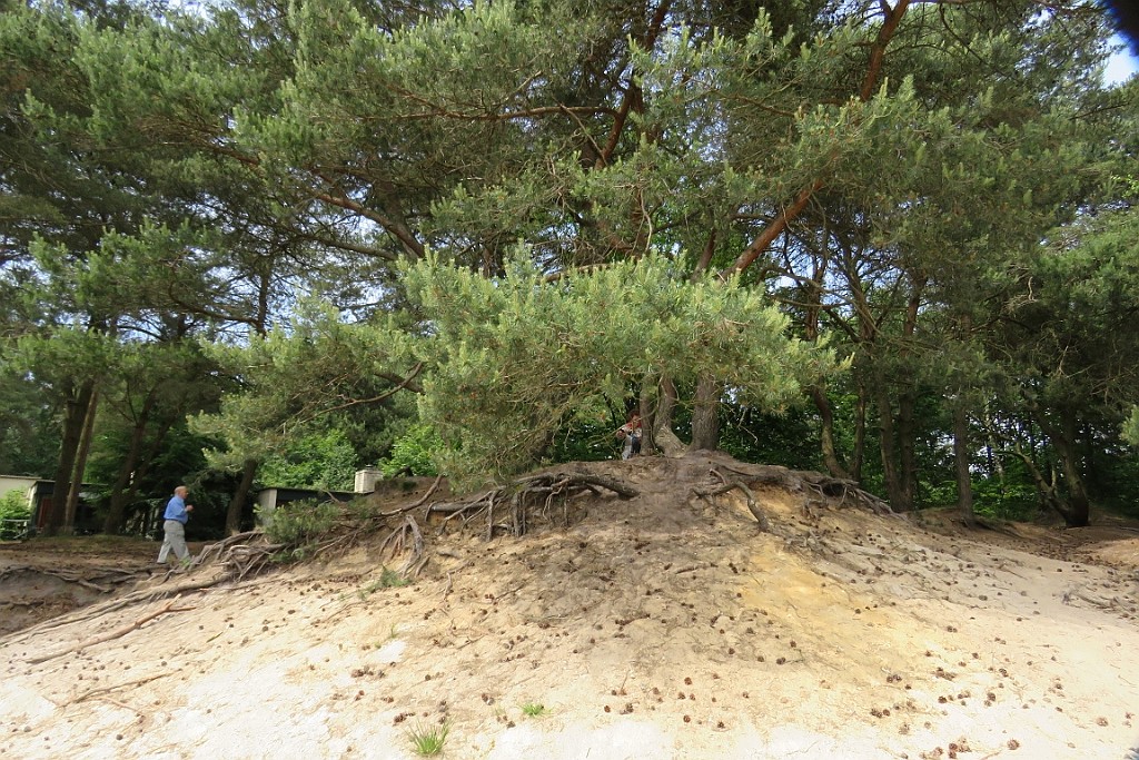 VM0615_125.JPG