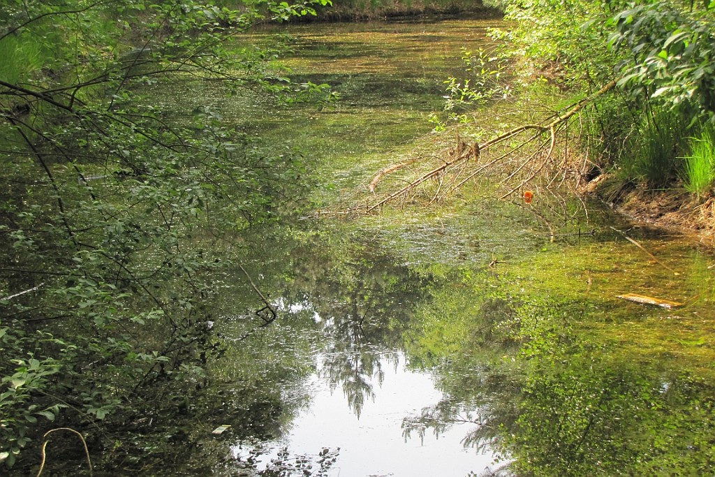 VM0615_131.JPG